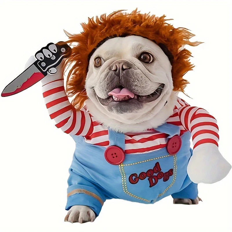 Bouledogue portant un déguisement d’Halloween pour chien avec perruque rousse, salopette bleue et manches rayées
