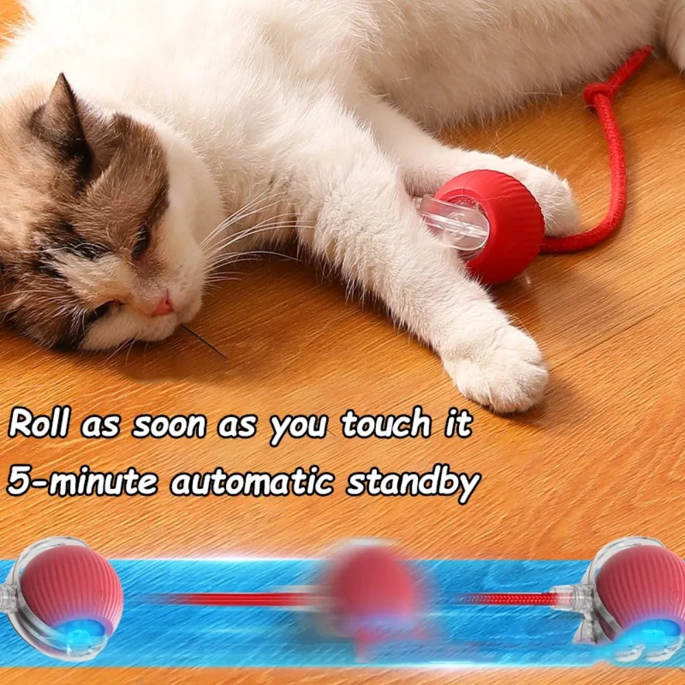 Chat birman allongé jouant avec le ballon roulant automatique – mise en veille après 5 minutes d'inactivité