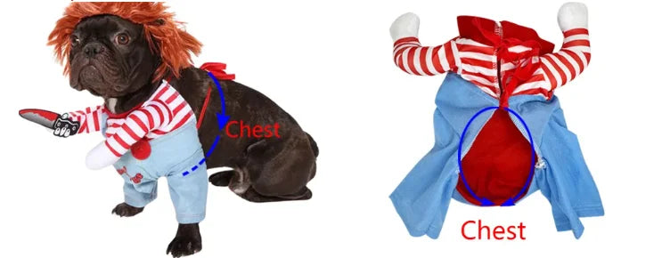 Guide de mesure du costume d’Halloween pour chien, montrant comment mesurer le tour de poitrine pour choisir la bonne taille.