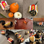 Collage de chiens portant le costume hot-dog pour chien – différentes races en déguisement festif
