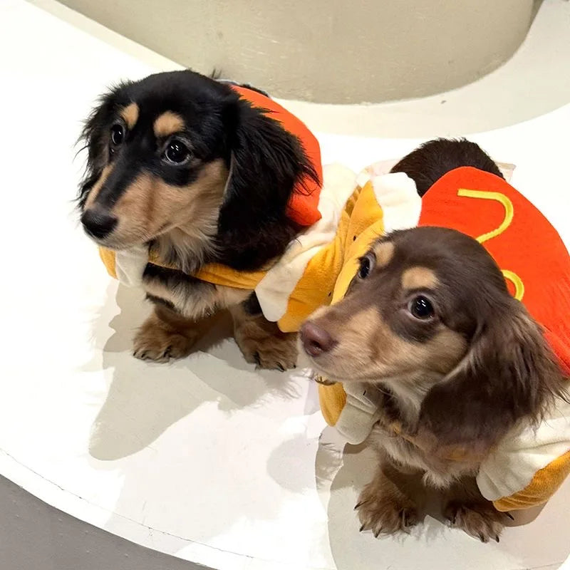 Deux teckels miniatures avec le costume hot-dog rigolo – vue de face, idéal pour petits chiens