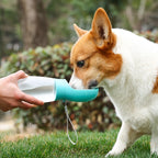 Gourde portable pour chien turquoise – Corgi qui boit à l'abreuvoir intégré en extérieur