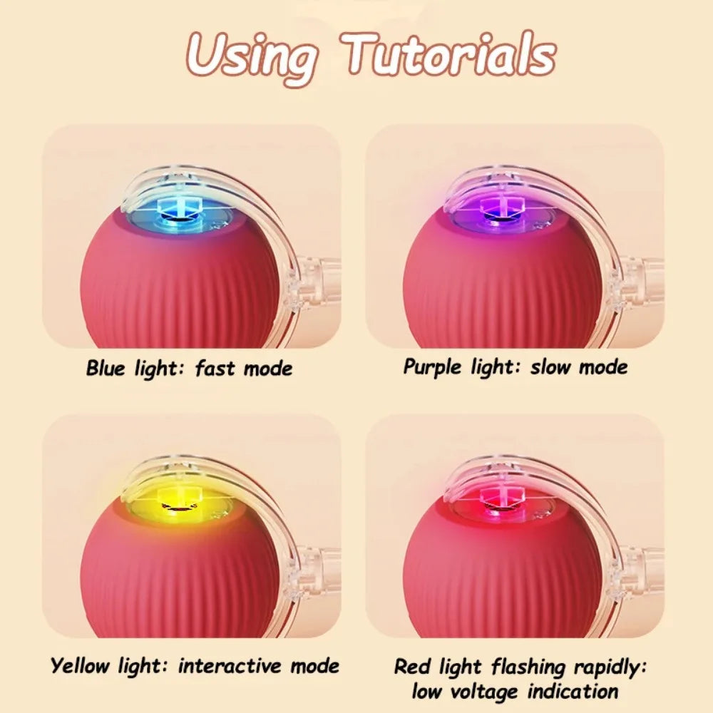 Guide d'utilisation du ballon jouet pour chat – 4 modes lumineux : bleu rapide, violet lent, jaune interactif, rouge batterie faible