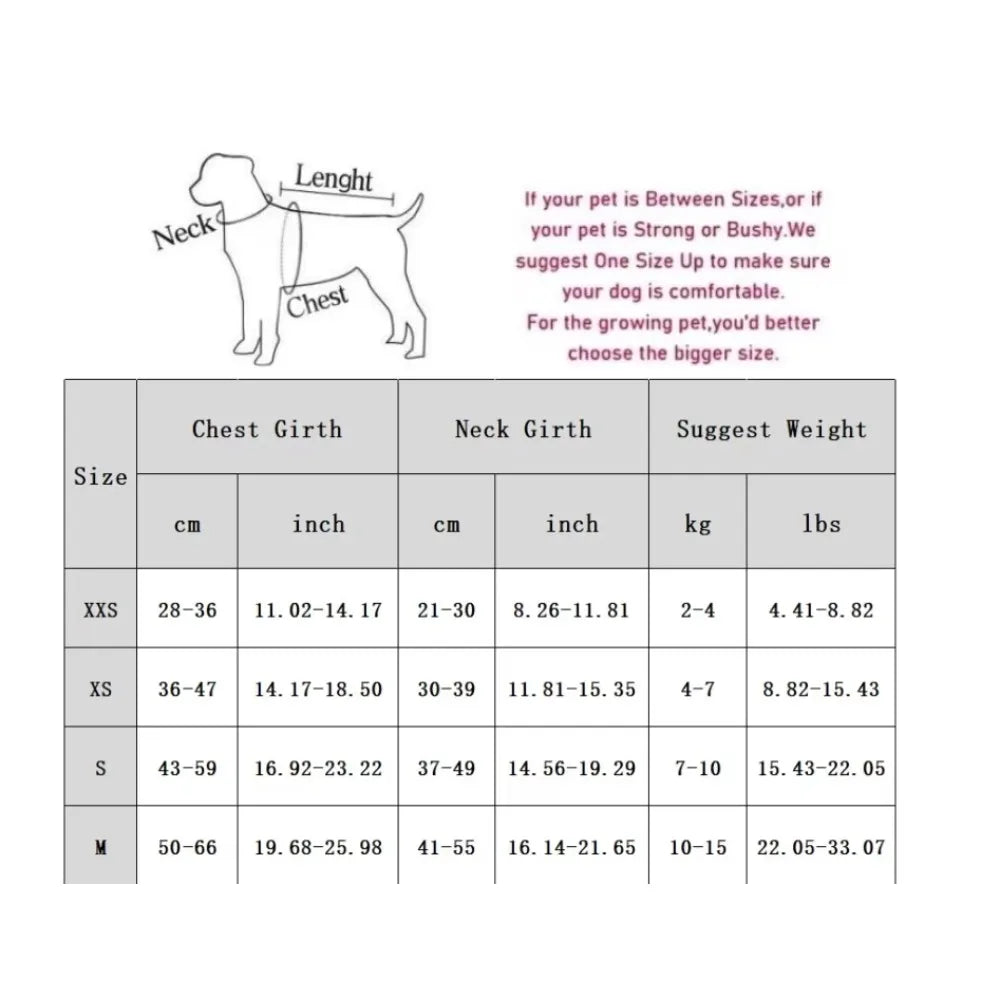 Guide des tailles harnais chat et petit chien – tableau tour de cou, poitrine et poids de XXS à M