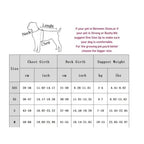Guide des tailles harnais chat et petit chien – tableau tour de cou, poitrine et poids de XXS à M