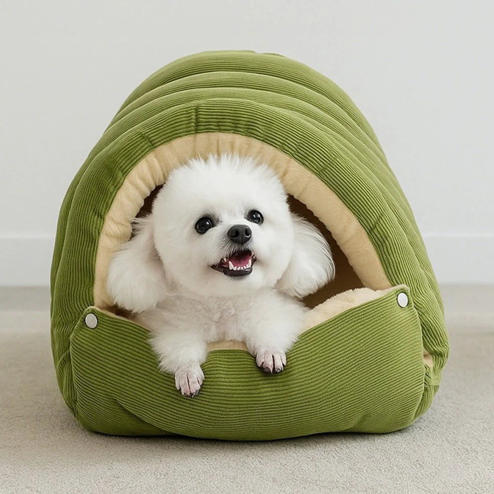 Petit chien bichon heureux dans la grotte cosy verte – lit grotte douillet pour chien et chat
