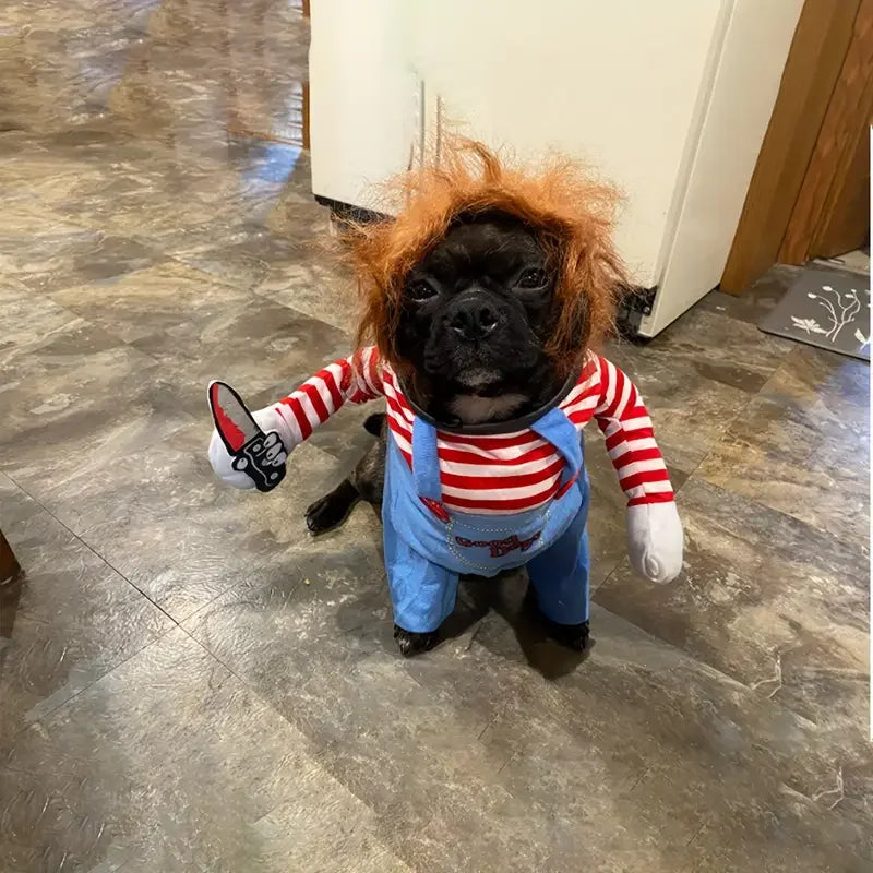 Petit chien noir portant un costume d’Halloween avec perruque rousse, manches rayées et salopette bleue