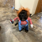 Petit chien noir portant un costume d’Halloween avec perruque rousse, manches rayées et salopette bleue