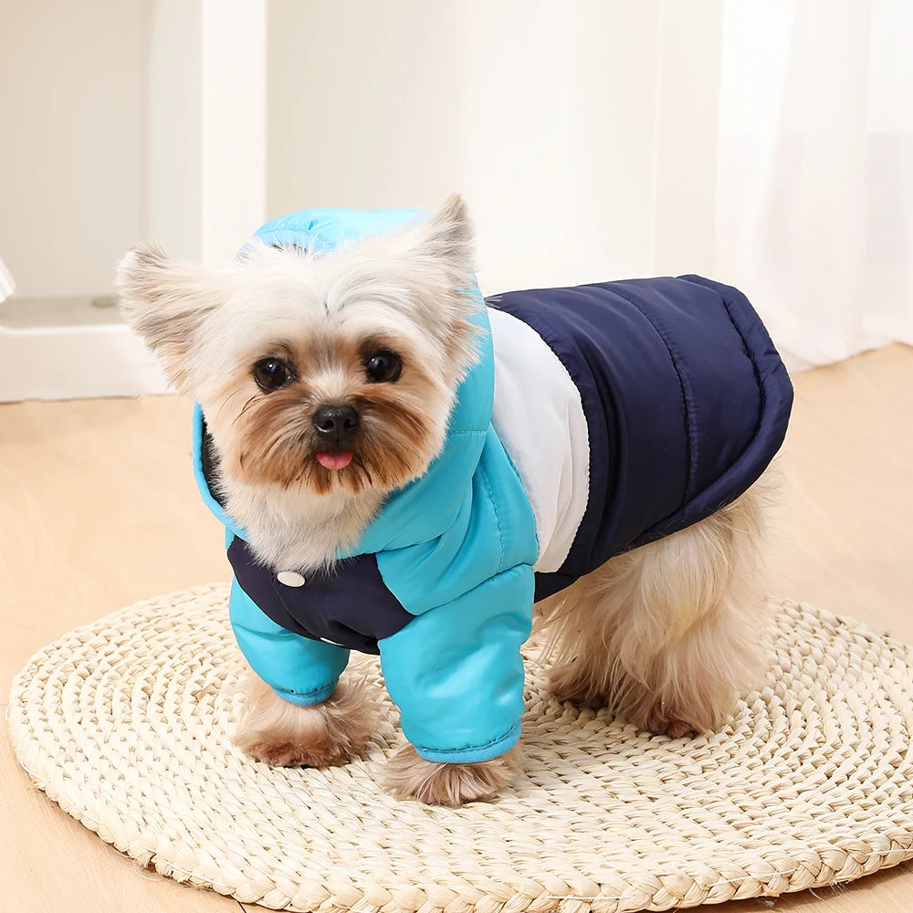 Manteau d'Hiver en Polaire pour Chien – Coupe-Vent Chaud