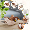 Jouet Oiseau Interactif pour Chat – Électrique Rechargeable
