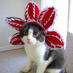Chat portant un costume Démogorgon pour chat et petit chien