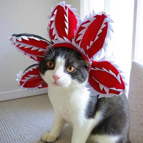 Chat portant un costume Démogorgon pour chat et petit chien