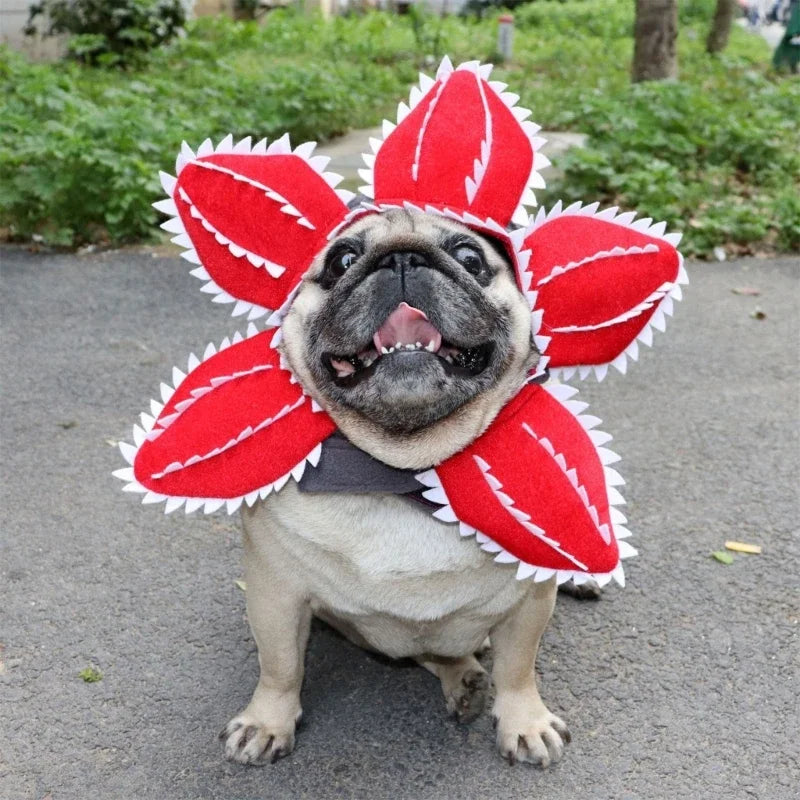 Carlin portant un costume Démogorgon pour chien