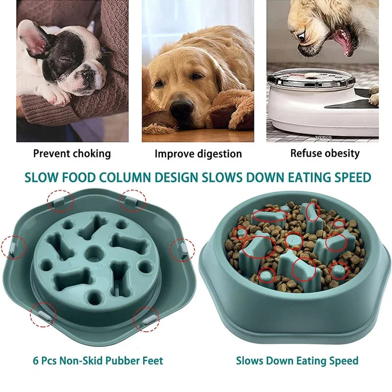 Gamelle anti-glouton chien verte – design colonnes ralentisseur, 6 patins antidérapants, améliore la digestion