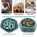 Gamelle anti-glouton chien verte – design colonnes ralentisseur, 6 patins antidérapants, améliore la digestion