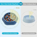 Infographie gamelle anti-glouton bleue vs gamelle ordinaire – repas 4x plus lent, 20 minutes vs 5 minutes