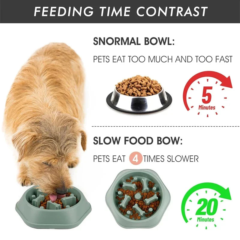 Comparatif gamelle normale 5 min vs gamelle anti-glouton puzzle 20 min – chien qui mange lentement