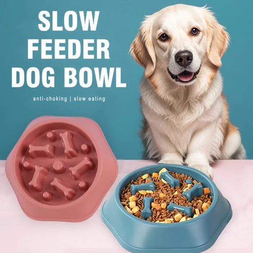 Gamelle anti-glouton puzzle chien rose et bleue – ralentit l'ingestion, base antidérapante