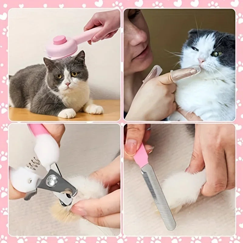 Utilisation du kit toilettage chat – brossage pelage, brosse à dent doigt, coupe-ongles et lime