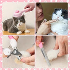 Utilisation du kit toilettage chat – brossage pelage, brosse à dent doigt, coupe-ongles et lime
