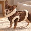 Gilet Rembourré pour Chien — Manteau